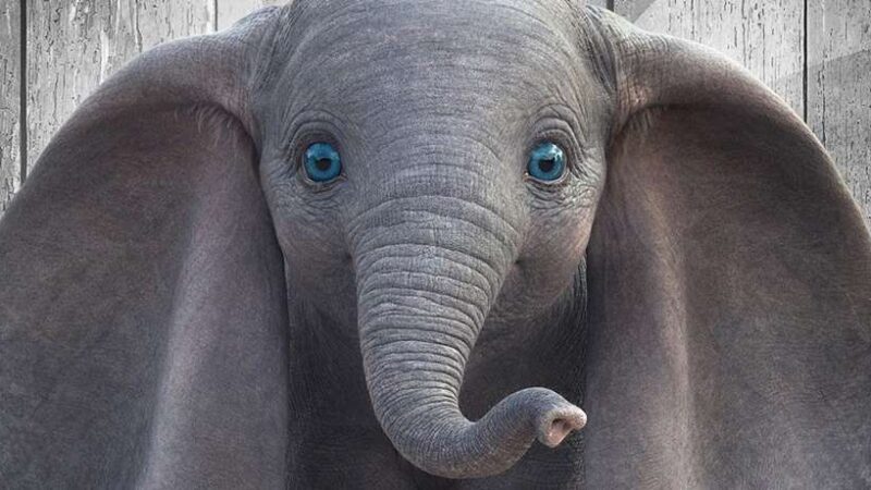 Dumbo – Quando Burton Torna A Casa